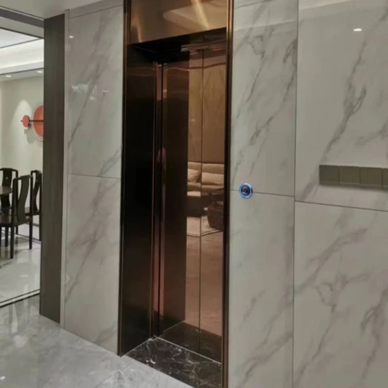 Stainless Steel Automatic Residential Lift Platform by Home Lift Elevator