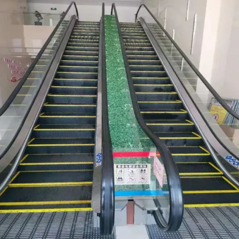 Moving stairway system by Home Lift Elevator
