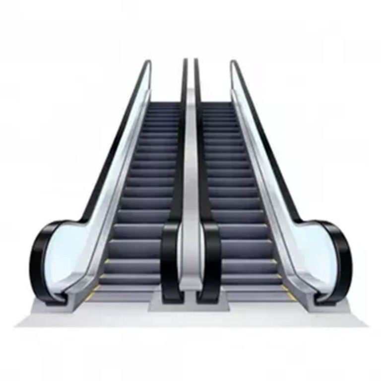 Residential Escalator Inclination Moving Walkway by Home Lift Elevator