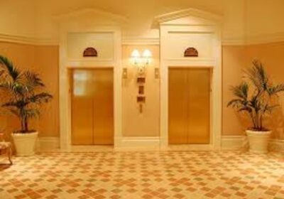 IMG_20241126_27479-1