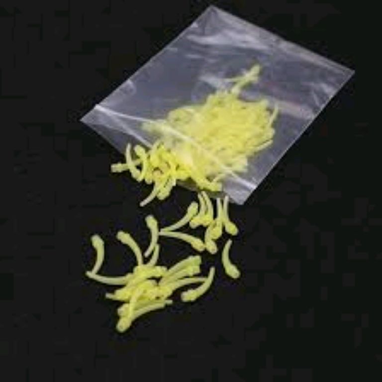 Portable Dental Intraoral Tip by Scantrik