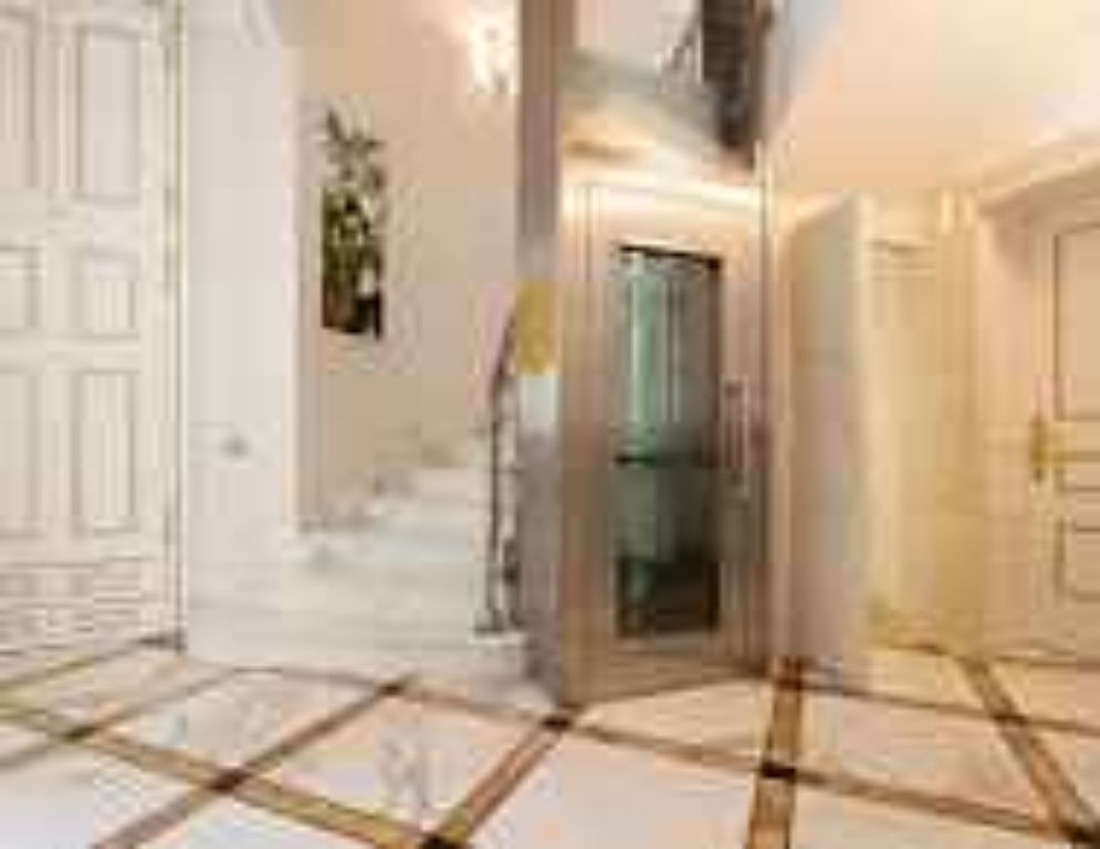 Residential Royal Lift by Home Lift Elevator