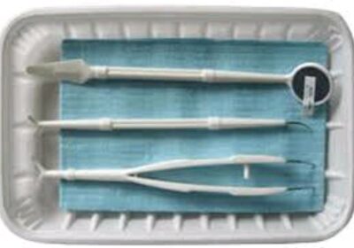 IMG_20241205_19242-1