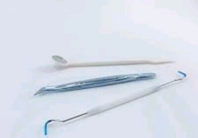 IMG_20241205_19853-1