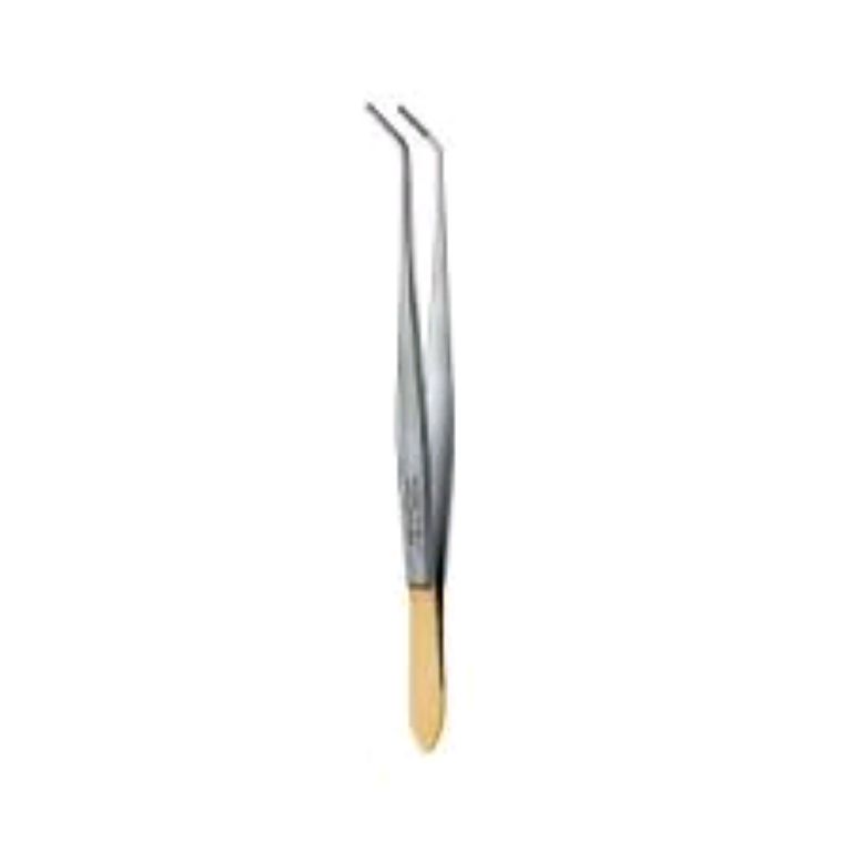 Generic Disposable Dental Tweezers by Scantrik