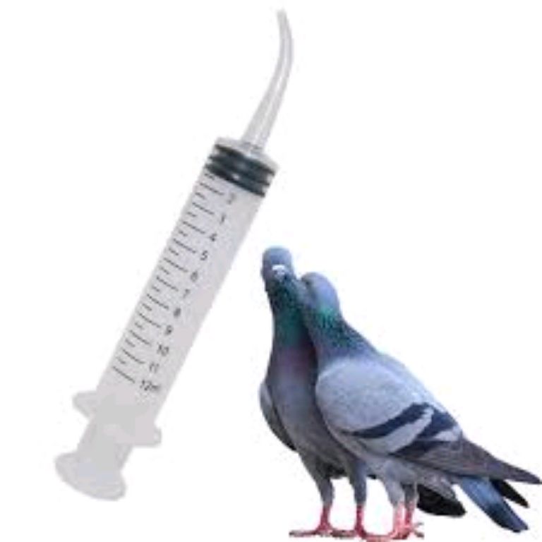 Medical Dental Elbow Syringe by Scantrik