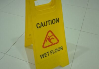 IMG_20241217_16645-1