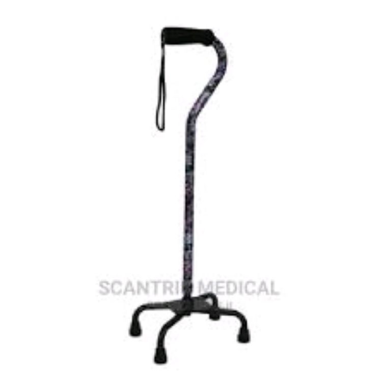 Walking Stick 4 Foot by Scantrik