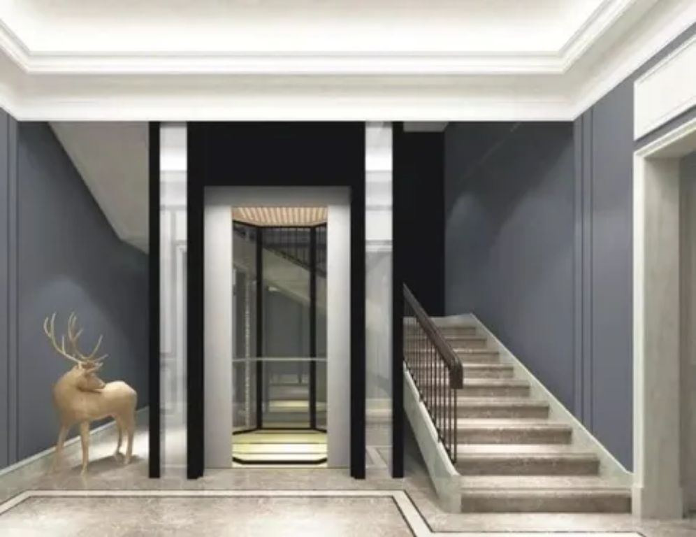 Private home elevator platform by Home Lift Elevator