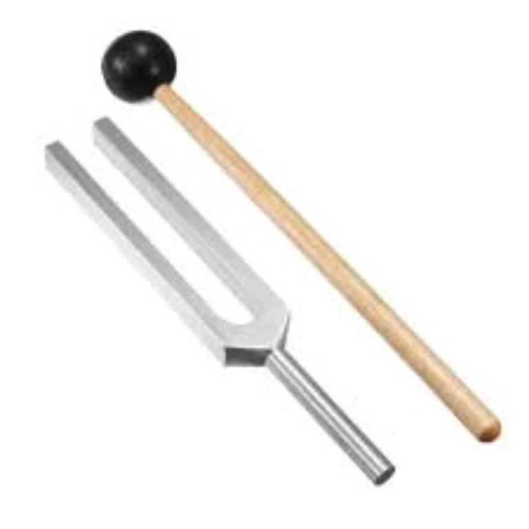 Medical Stainless Tuning Fork by Scantrik