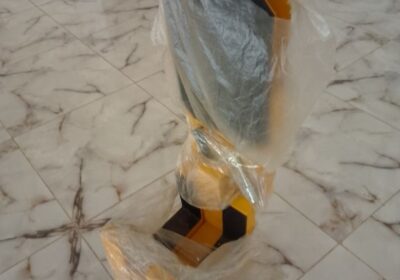 IMG_20241227_12898-1