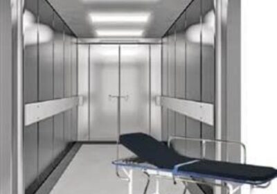 IMG_20241210_56923-3