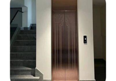 IMG_20241220_49783-3