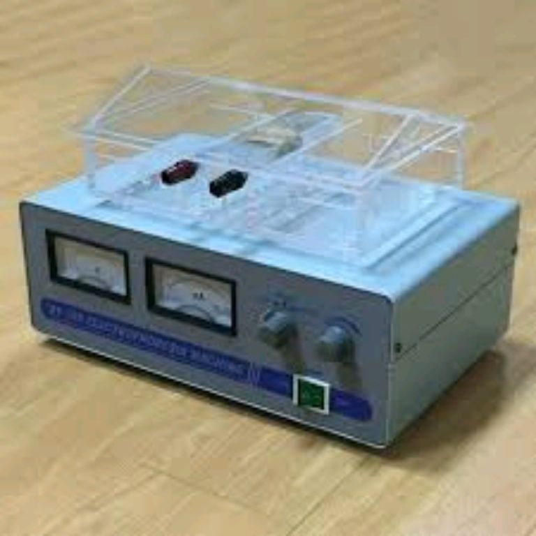 Electrophoresis Machine For Genotype by Scantrik