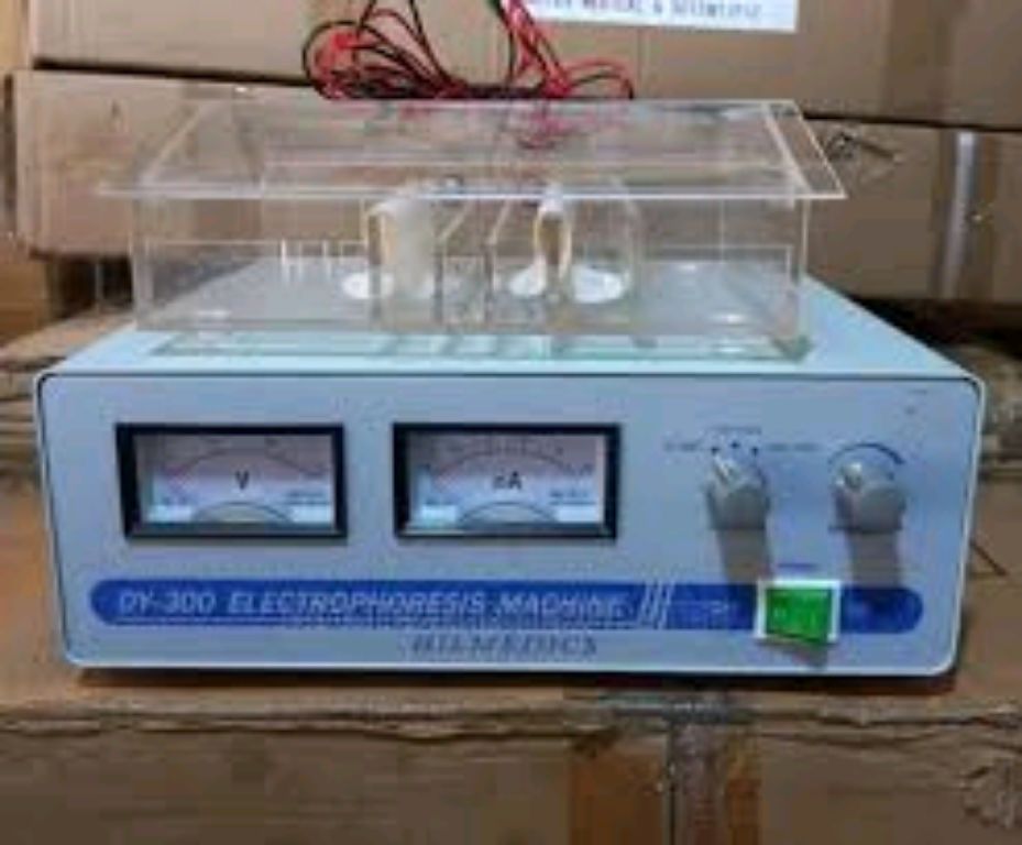 Electrophoresis Machine With Cell Electrophoresis by Scantrik