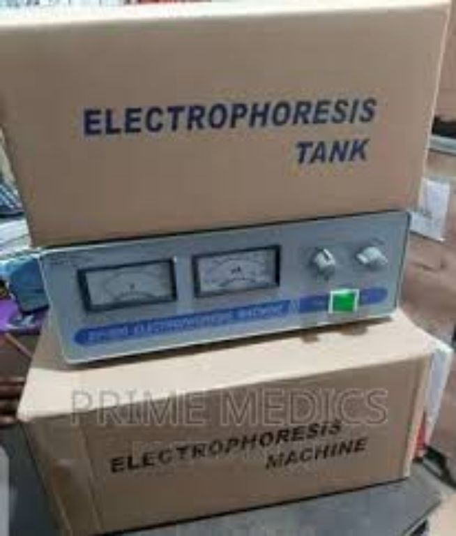 DY-300 Electrophoresis Machine by Scantrik