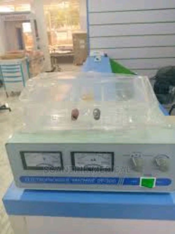 DY-300 Electrophoresis Genotype Machine By Scantrik