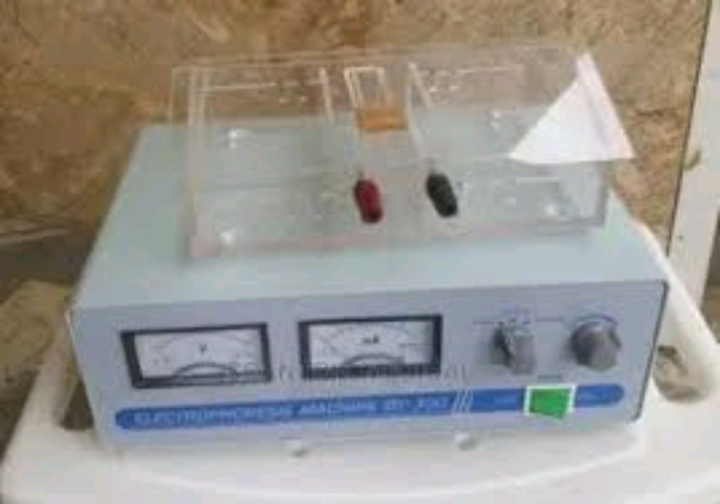 Electrophoresis Machine DY-300 by Scantrik