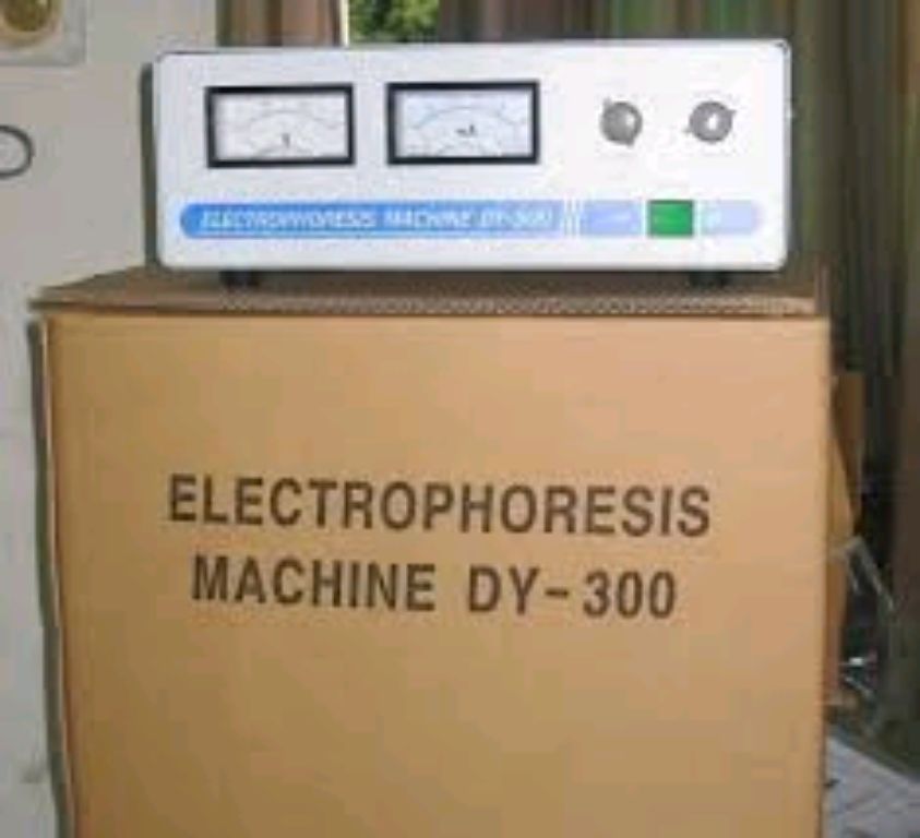 Genotype Electrophoresis Machine By Scantrik