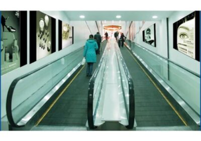 IMG_20250113_10535-3