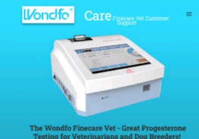 IMG_20250113_11210-1