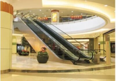 IMG_20250113_11210-3