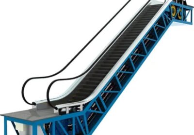 IMG_20250113_11603-1