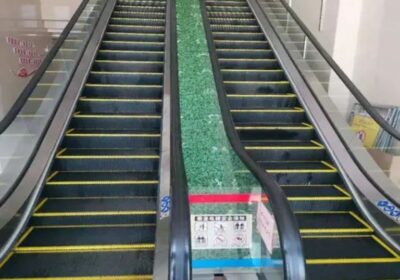 IMG_20250113_14120-1