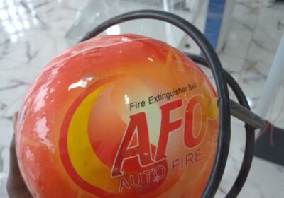 IMG_20250116_13567-1