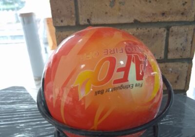 IMG_20250116_14262-1