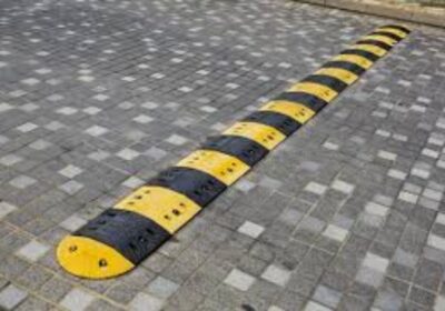 IMG_20250116_46558-1