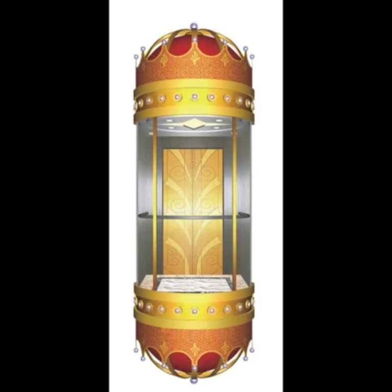 Good quality passenger capsule lift by Home Lift Elevator