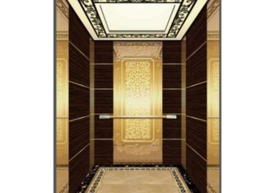 IMG_20250117_27206-1