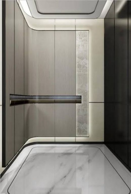 Low Pit Lift by Home Lift Elevator