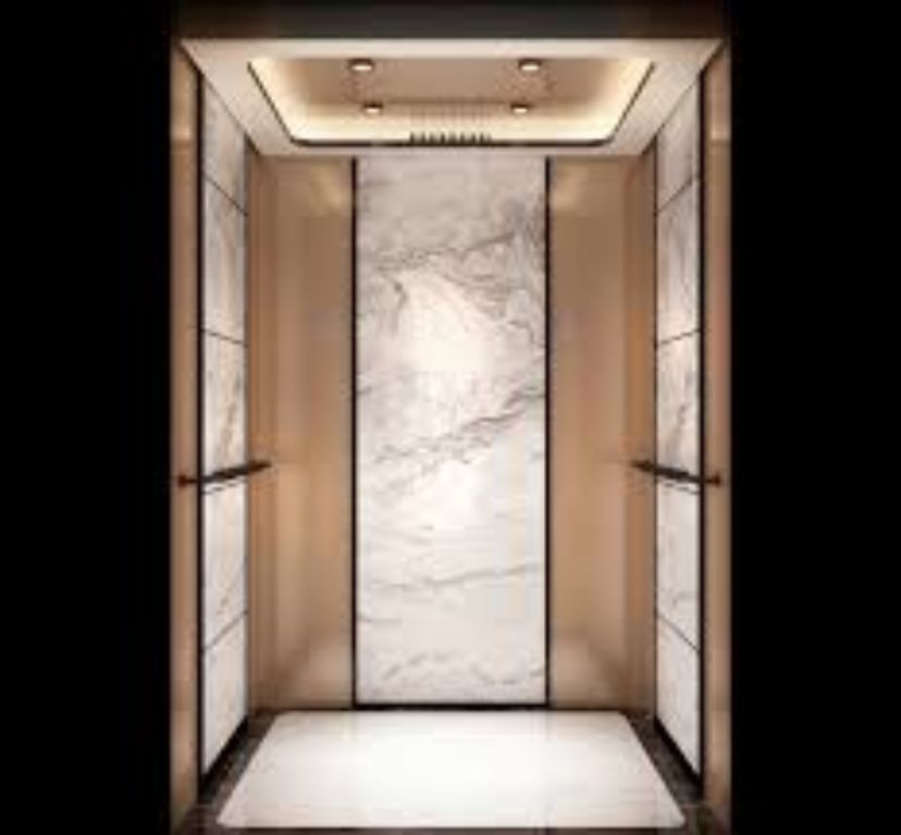 Best quality 630kg passenger platform by Home Lift Elevator