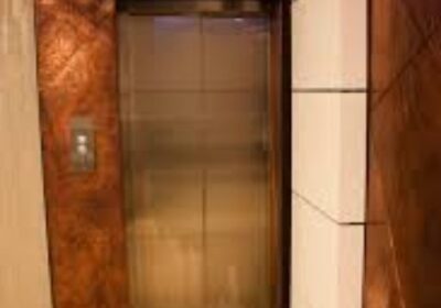 IMG_20250117_38895-1