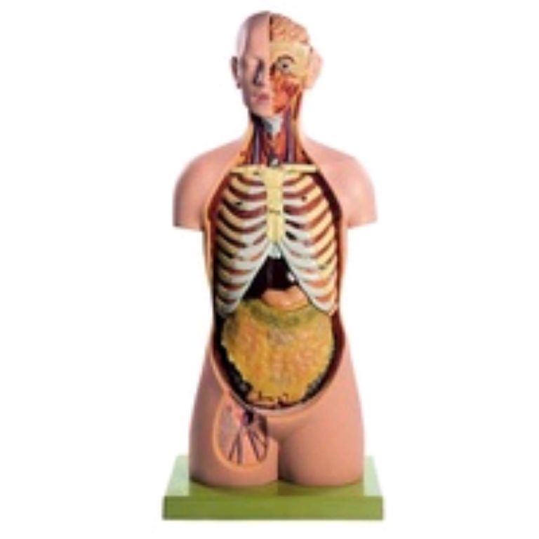 Scientific educational model