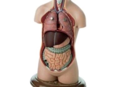 IMG_20250120_34843-1