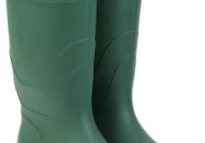 IMG_20250120_50688-1