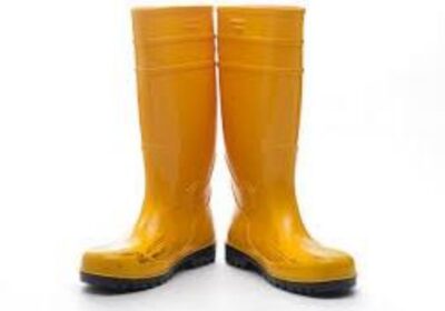 IMG_20250120_53218-3