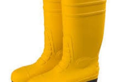 IMG_20250120_53949-1