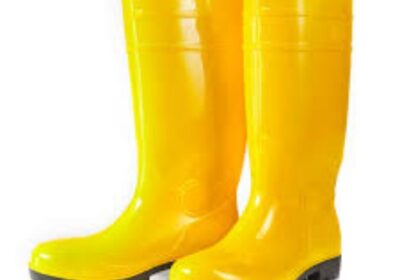 IMG_20250120_54694-1