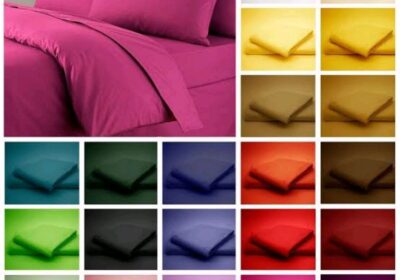 IMG_20250122_12317-1