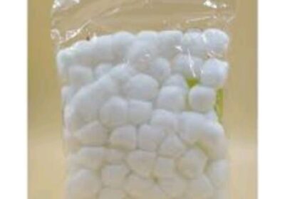 IMG_20250122_29581-1