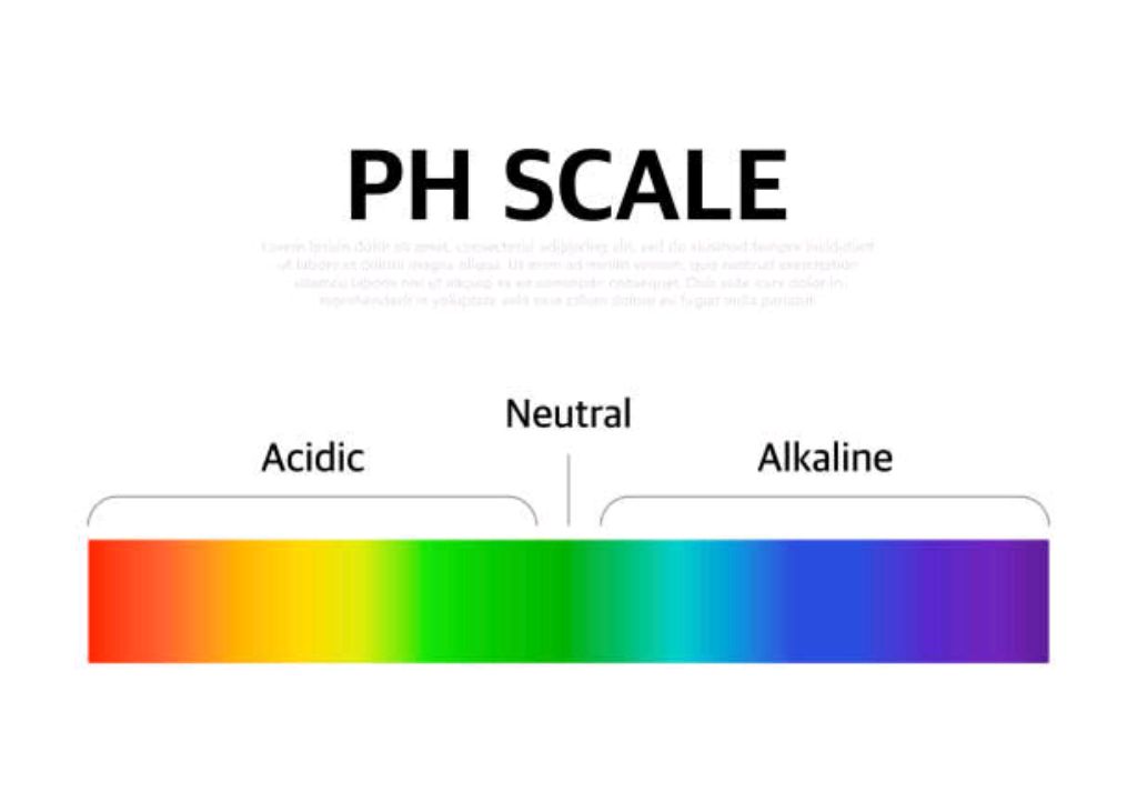 Hydrogen ion paper test strips by Scantrik