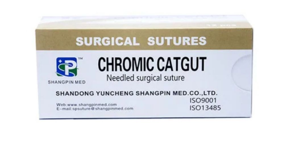 Surgical gut (chromic) by Scantrik