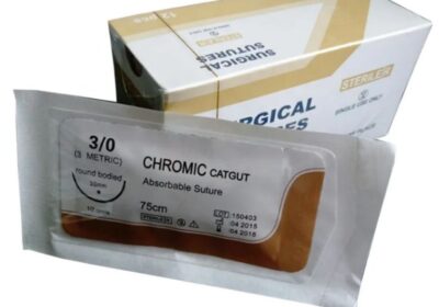 IMG_20250124_51910-1