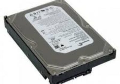 IMG_20250125_32497-1