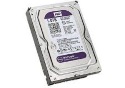 IMG_20250125_34237-2