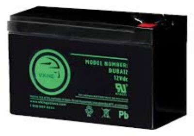 IMG_20250125_38707-1